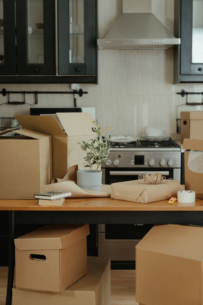 A home kitchen with moving boxes, packing supplies, and a potted plant sitting on the table.